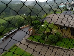 Cor-preta